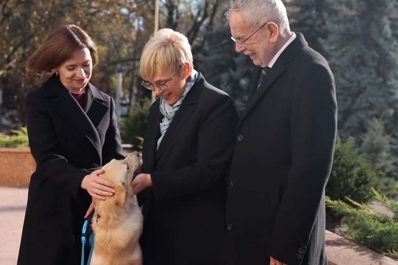 Österreichischer Präsident von Hund gebissen