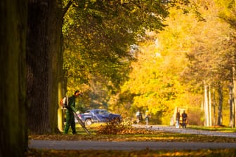 Sonne im Herbst (Symbolbild): Der Oktober war weltweit so warm wie nie.