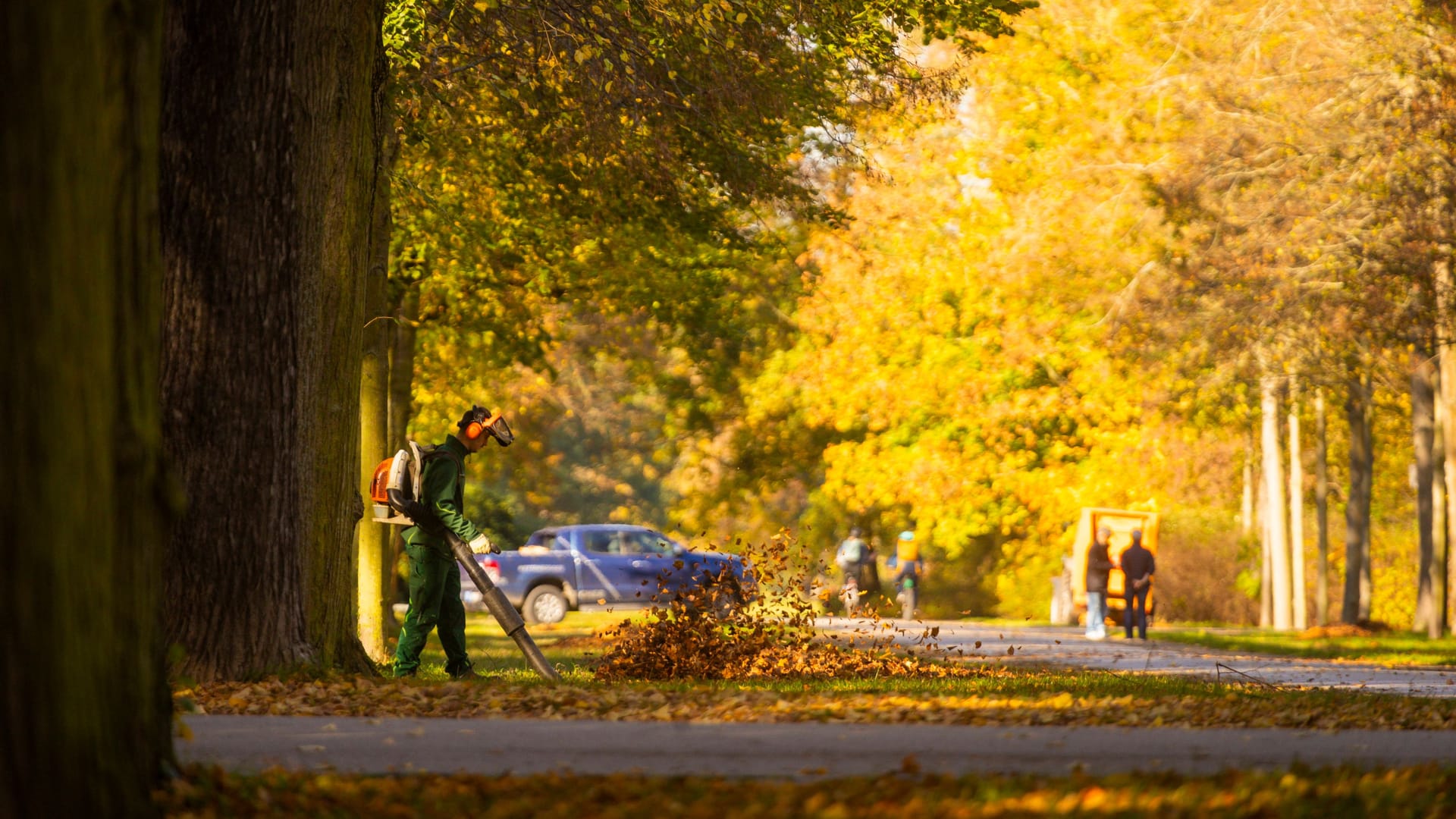 Sonne im Herbst (Symbolbild): Der Oktober war weltweit so warm wie nie.