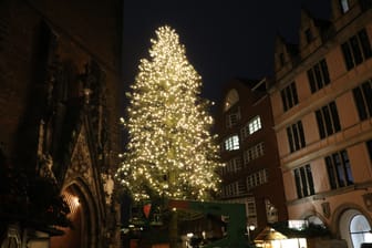 Weihnachtsbaum in Hannover: Die Lichterketten, mit denen er geschmückt wird, haben eine Länge von insgesamt einem Kilometer.