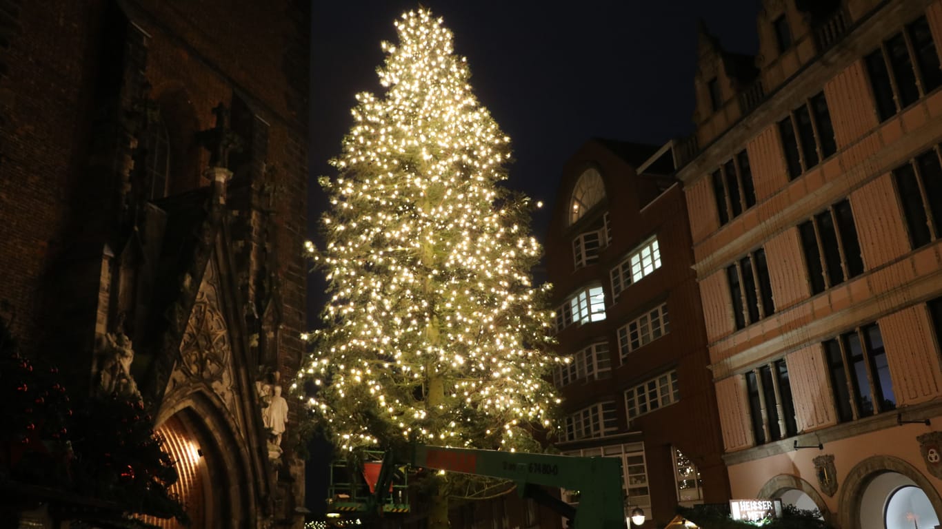 Weihnachtsbaum in Hannover: Die Lichterketten, mit denen er geschmückt wird, haben eine Länge von insgesamt einem Kilometer.