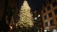 Hannover: Der umstrittene Weihnachtsbaum ist geschmückt – jetzt besser?