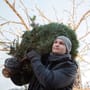München: Weihnachtsbaum kaufen oder selbst fällen – Preise und Verkaufsstellen