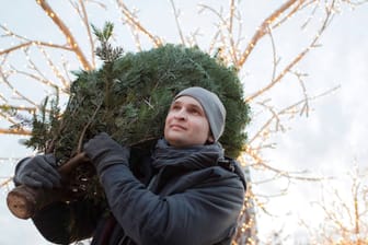 Mann mit Tanne (Symbol): In Leipzig gibt es am Freitag Weihnachtsbäume umsonst.