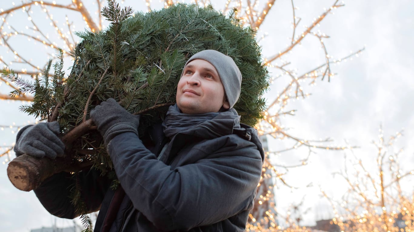 Mann mit Tanne (Symbol): In Leipzig gibt es am Freitag Weihnachtsbäume umsonst.