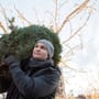 Weihnachtsbaum: Wann wird er entsorgt?