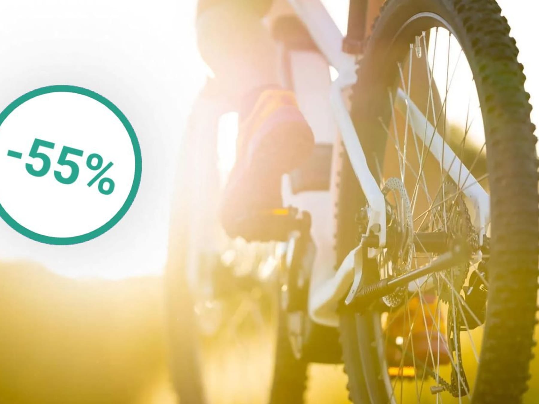 Lidl: E-Bike von Fischer im | zum Angebot Mountainbike Rekord-Tiefpreis