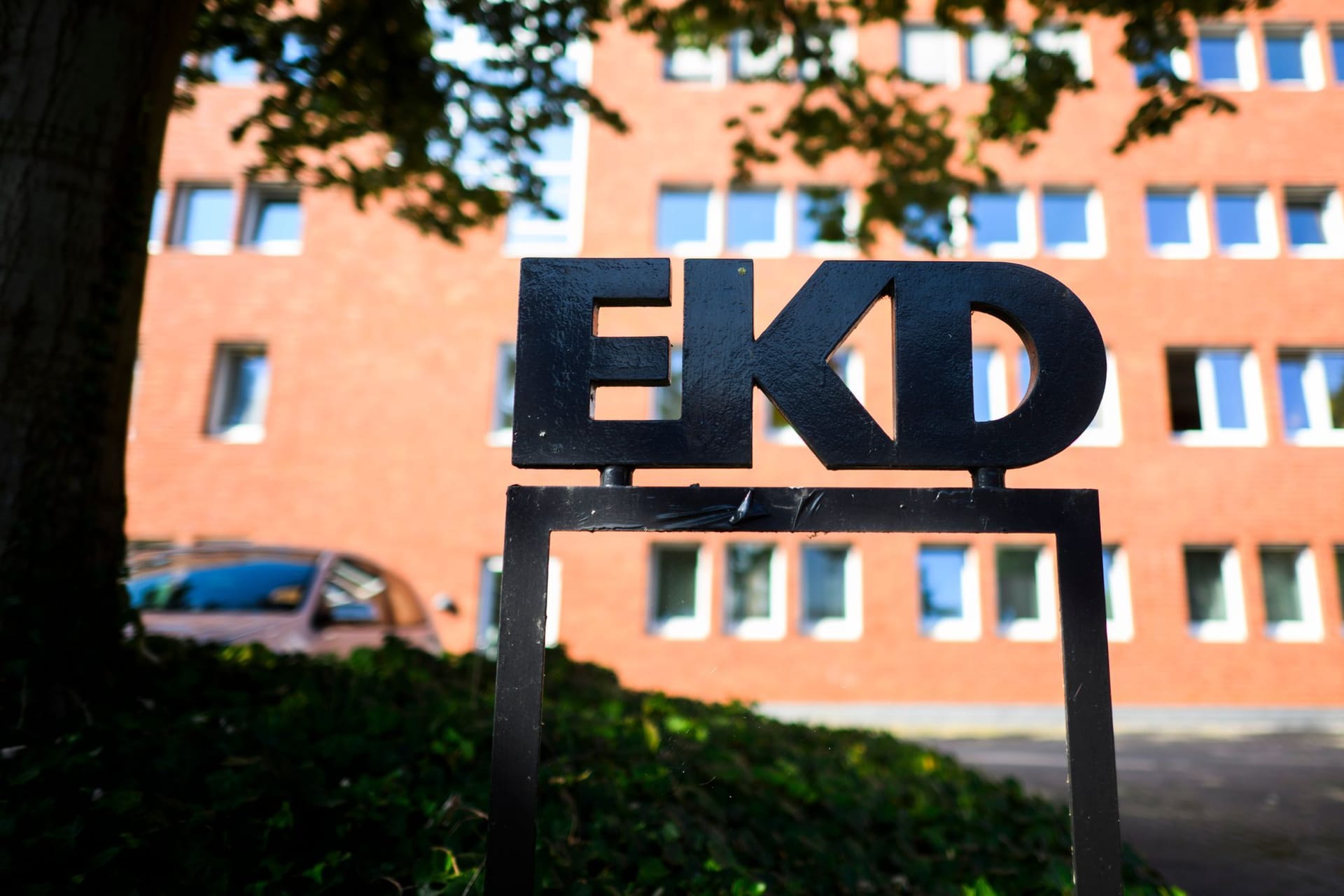 EKD