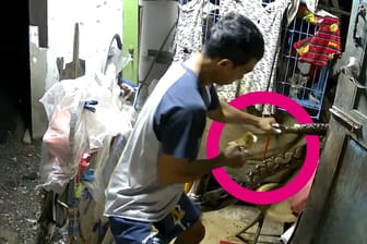 Bangkok: Mann ringt mit einer Python die seine Haustiere angegriffen hat.