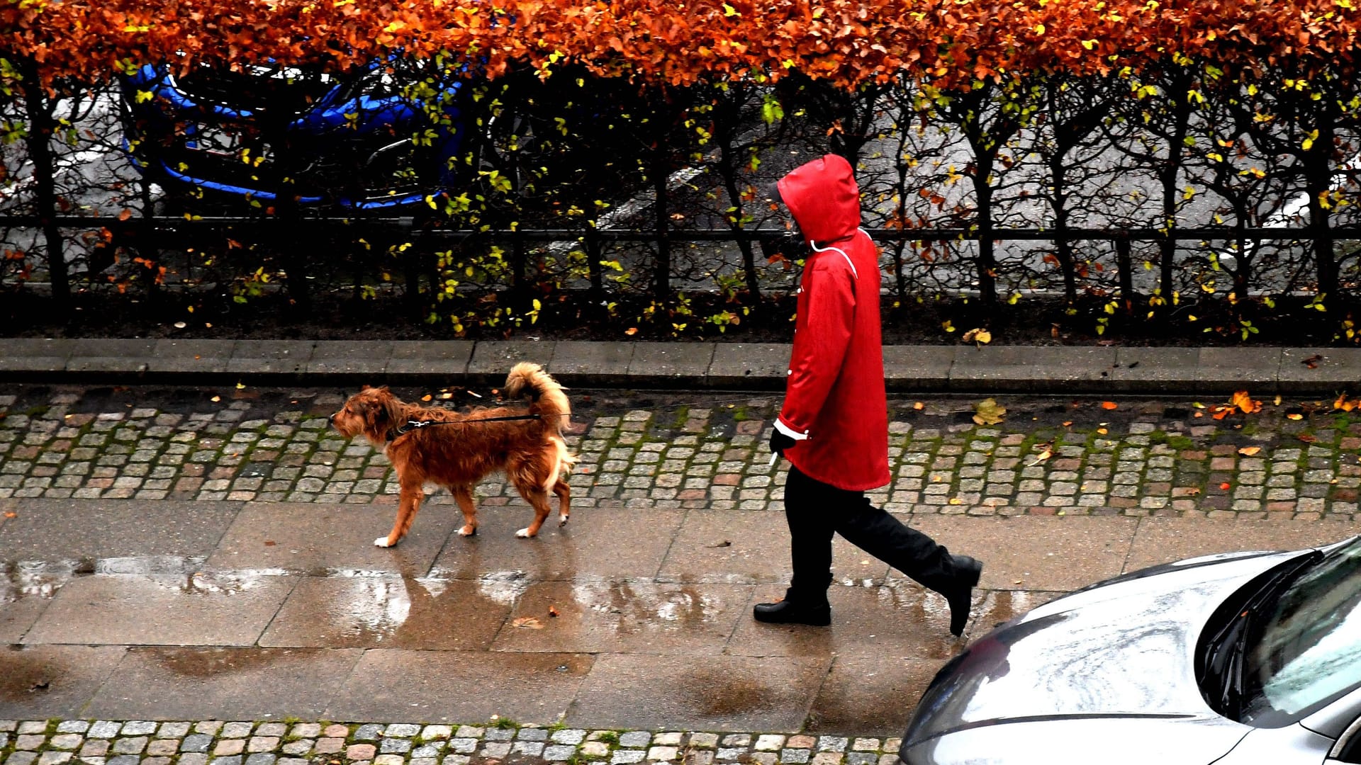 Regenwetter (Symbolbild): In den kommenden Tagen gibt es wechselhaftes Wetter.