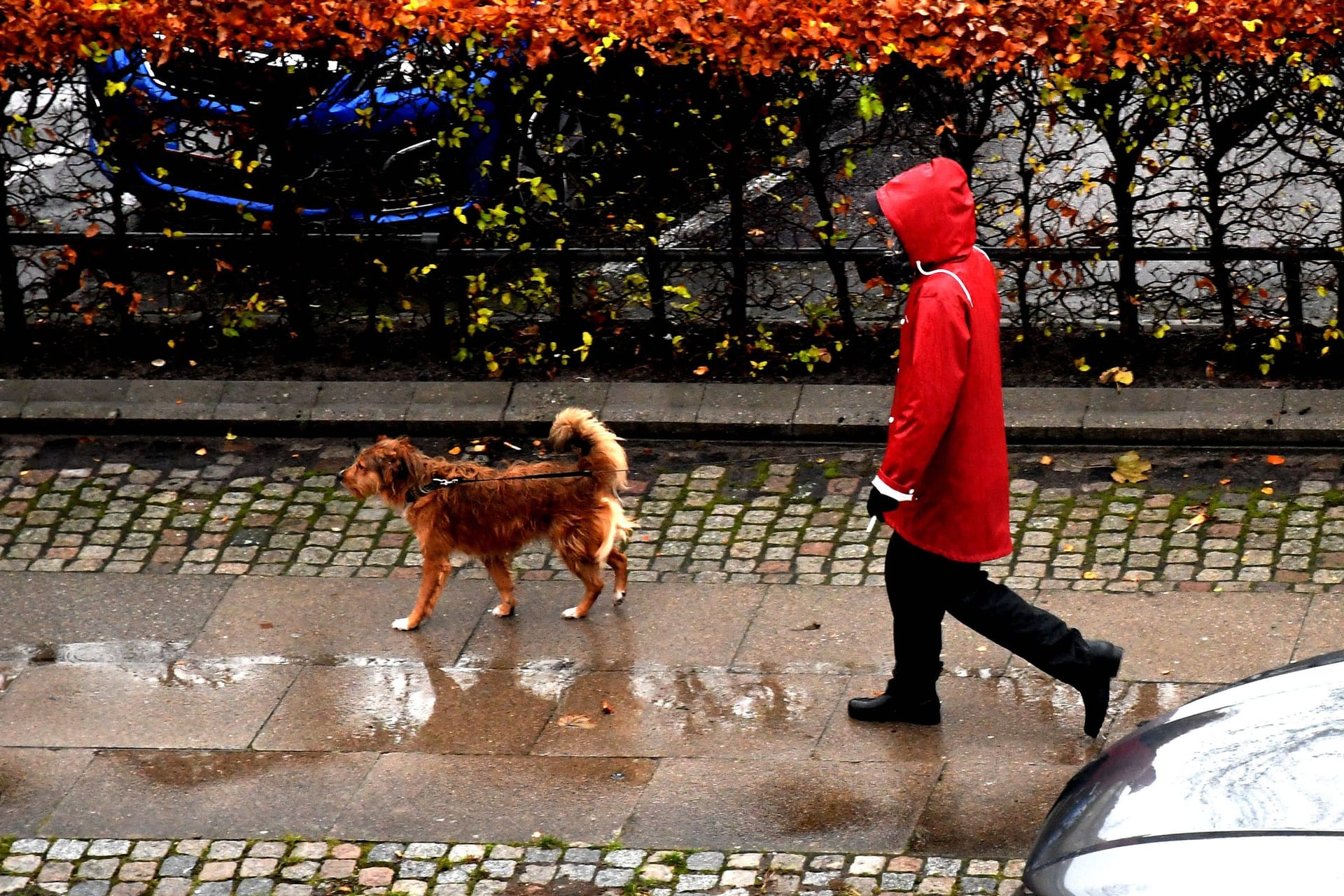 Regenwetter (Symbolbild): In den kommenden Tagen gibt es wechselhaftes Wetter.