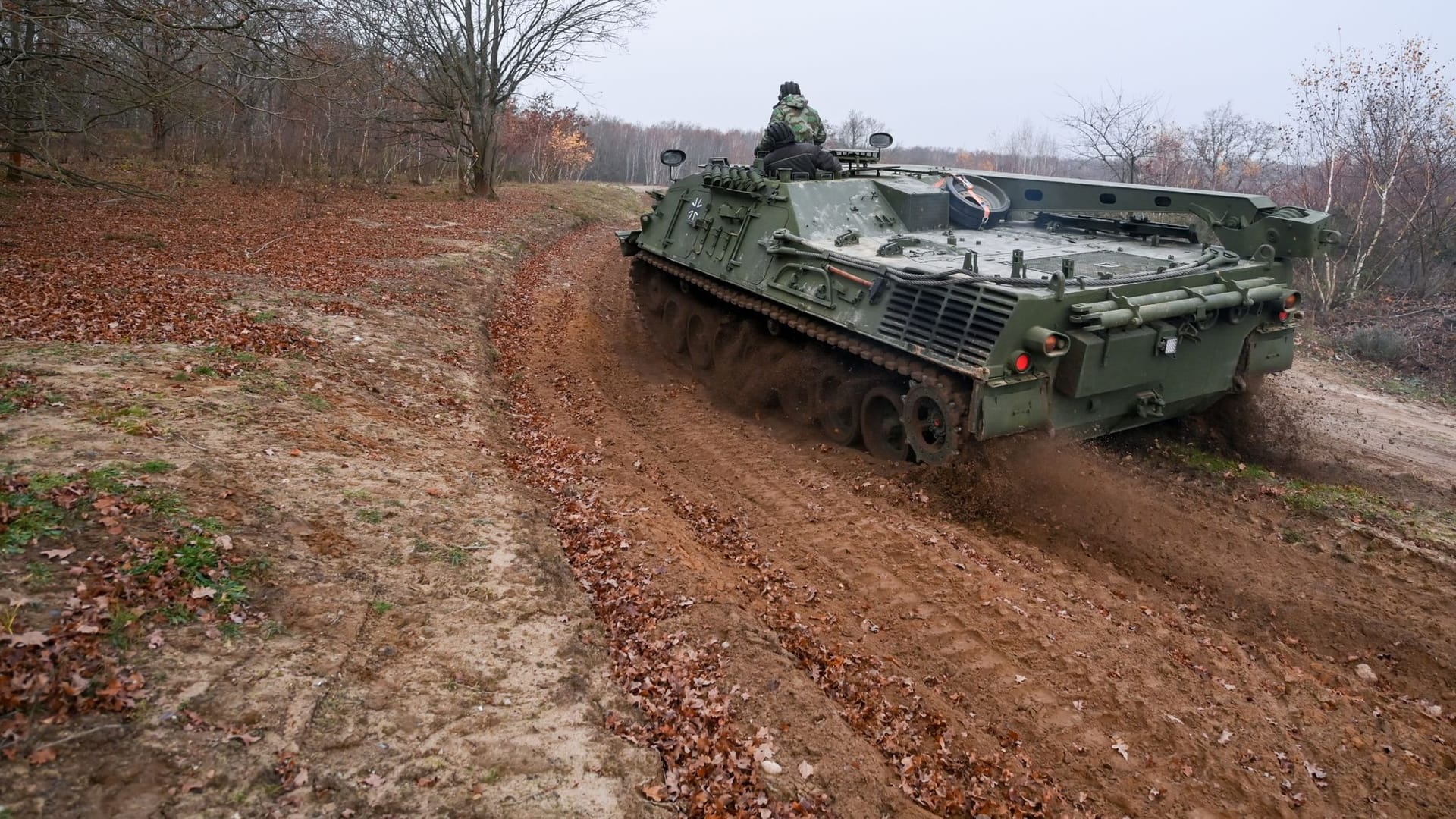 Ein Zivilpanzer verdichtet in der Döberitzer Heide Trassen südwestlich von Berlin den Boden: So können sich dort Pfützen für Urzeitkrebse bilden.