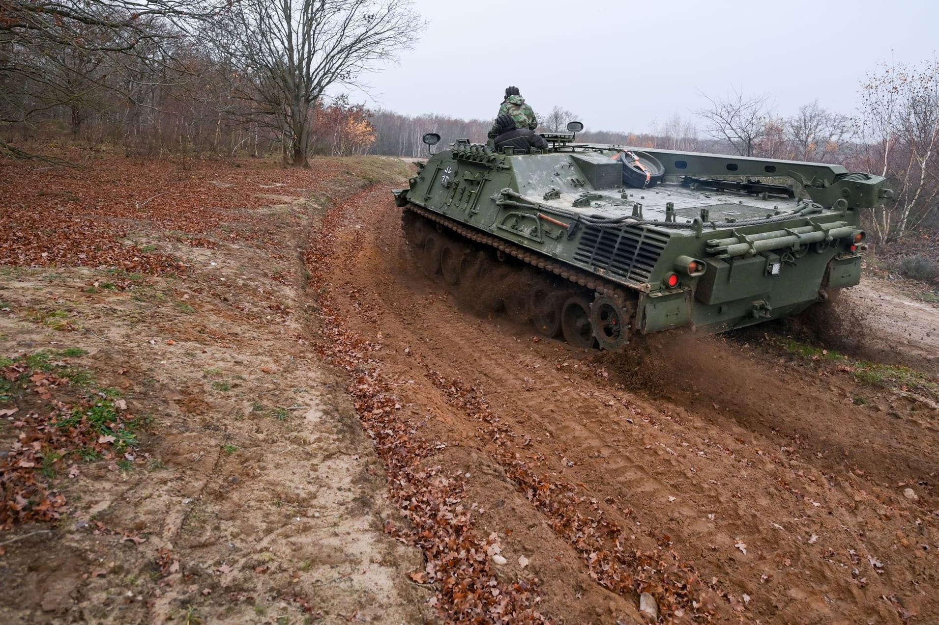 Ein Zivilpanzer verdichtet in der Döberitzer Heide Trassen südwestlich von Berlin den Boden: So können sich dort Pfützen für Urzeitkrebse bilden.