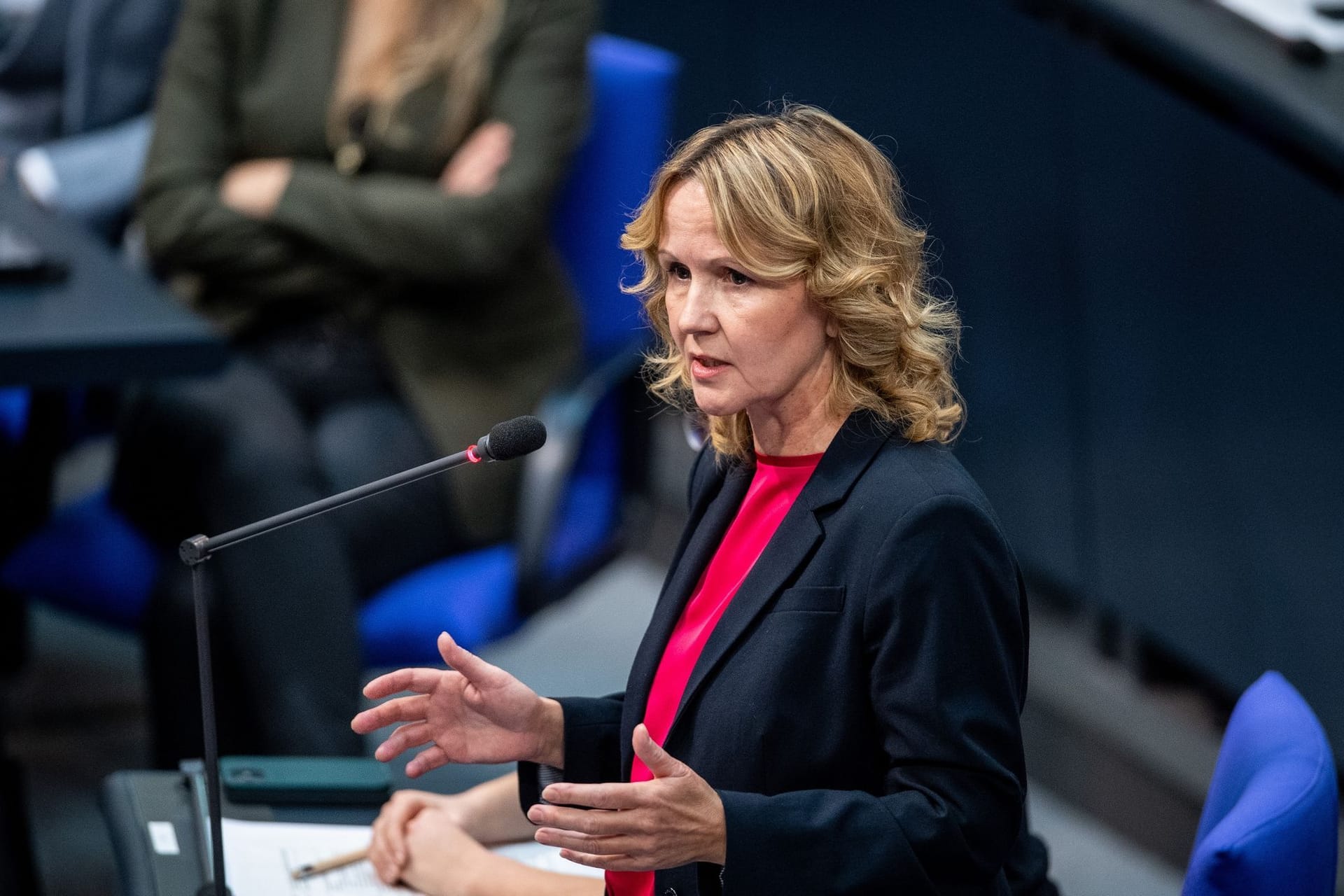 Steffi Lemke