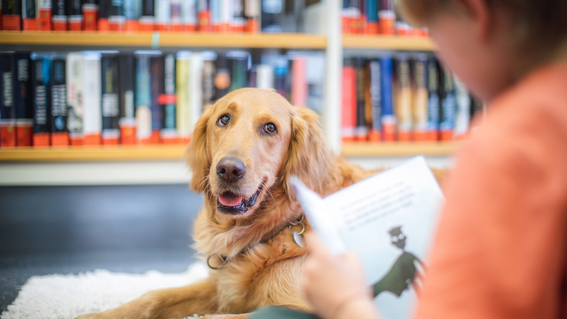 Köln - Lesehund Joy in der Stadtteilbibliothek Mülheim