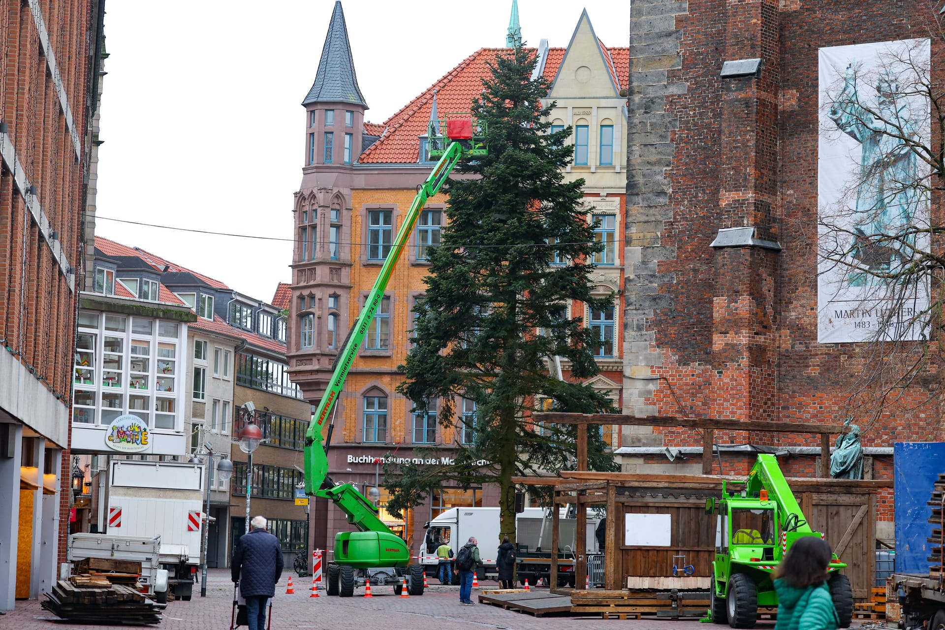 Der mehrere Meter hohe Baum sieht ziemlich angefressen aus.