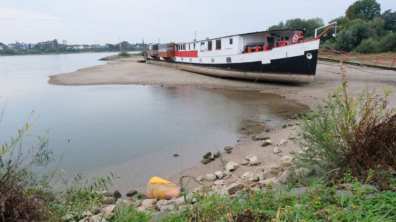 Rhein mit Niedrigwasser 2023 (Symbolbild): Die Folgen der Klimakrise sind nicht zu leugnen.