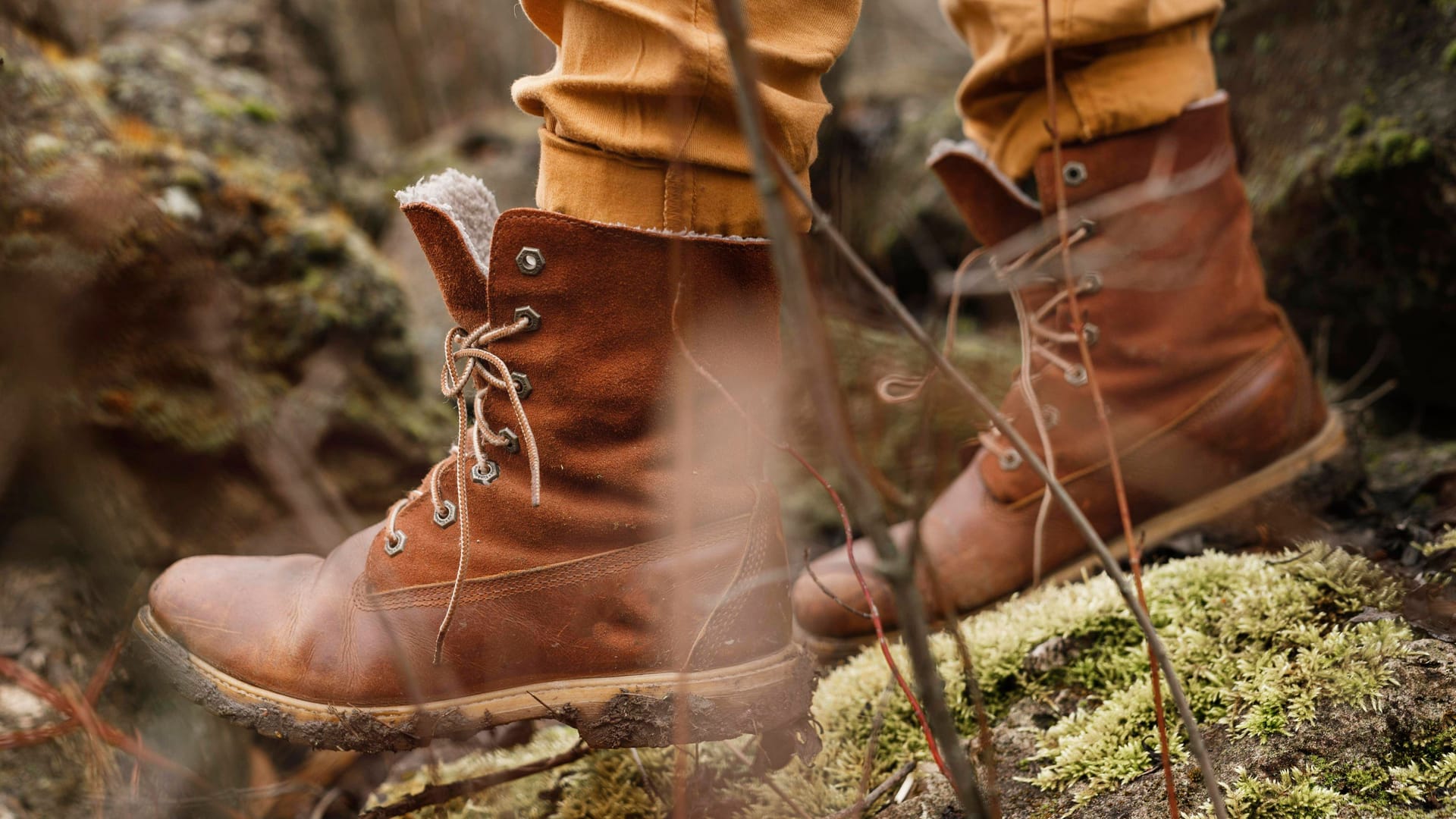 Wandern im Wald: Auch auf touristischen Routen durch einen Wald sollte man achtsam sein.