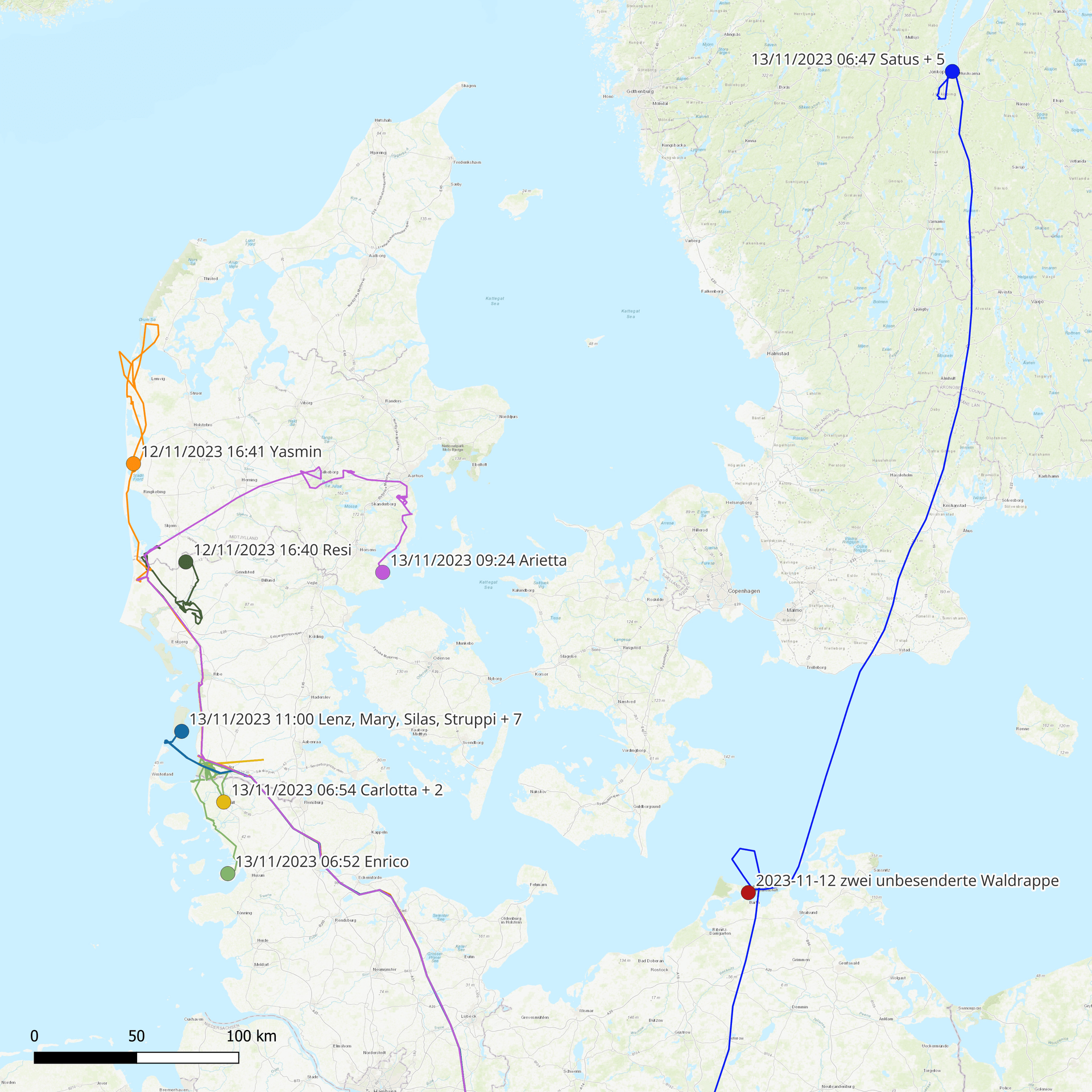 Flugrouten der Waldrappe: Vögelchen Yasmin stromert durch Dänemark, Satus ist bis nach Schweden vorgestoßen.