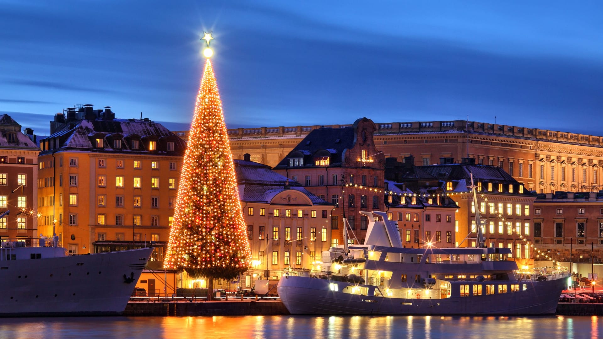 Stockholms old city with christmas tree