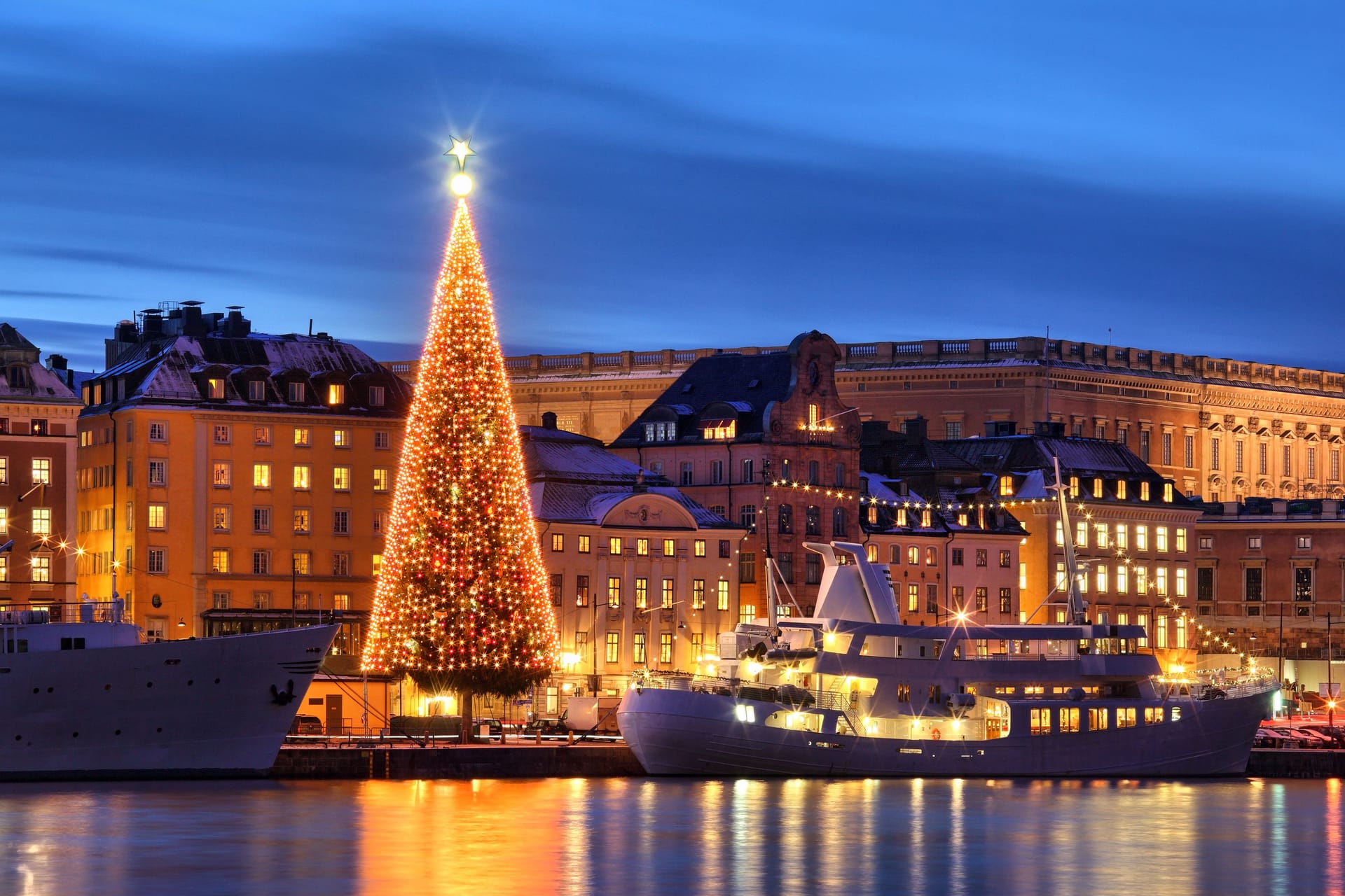 Stockholms old city with christmas tree