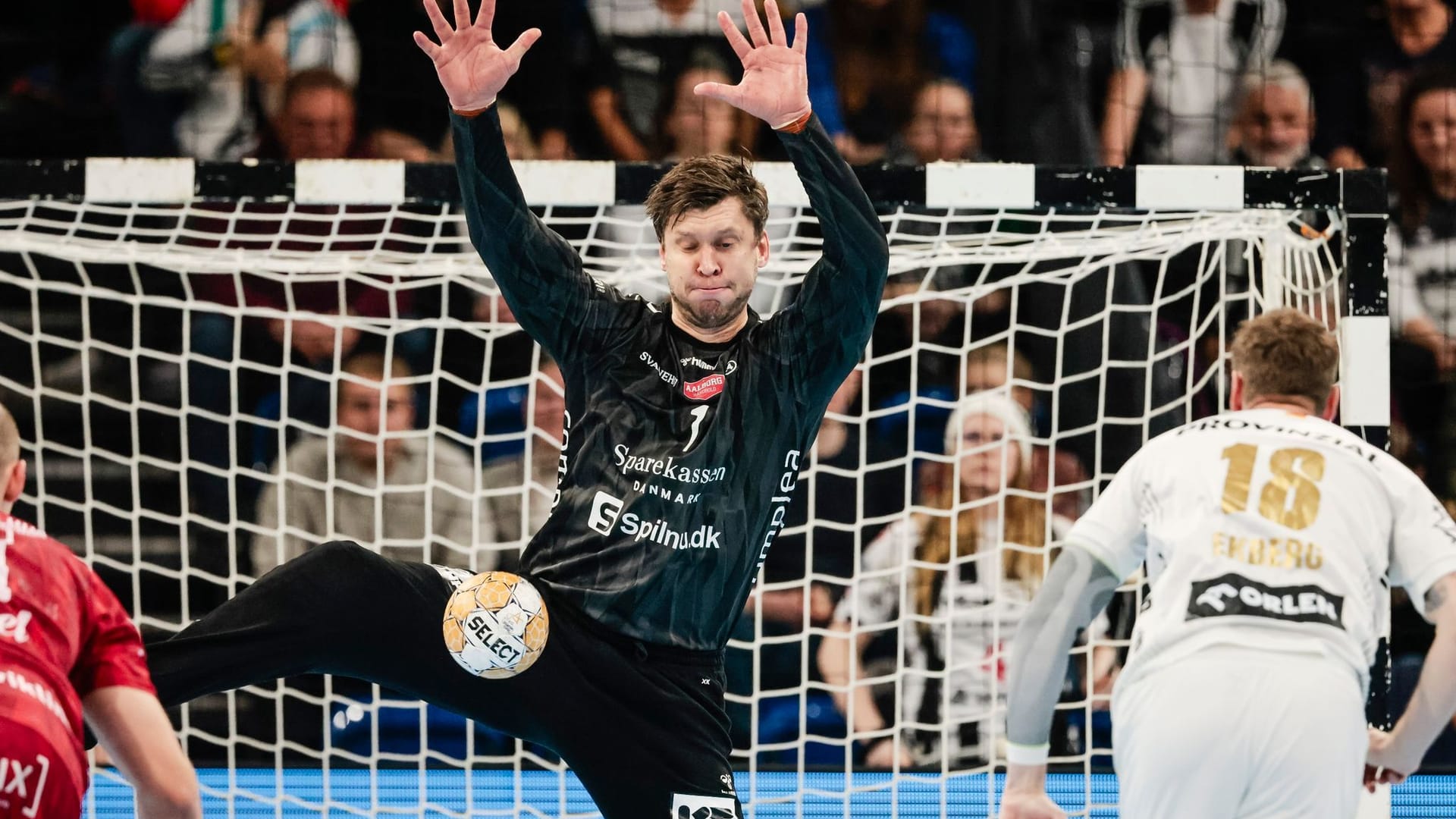 THW Kiel - Aalborg HB