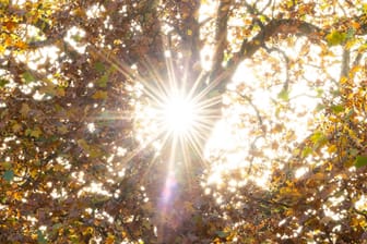 Spätsommer im Oktober