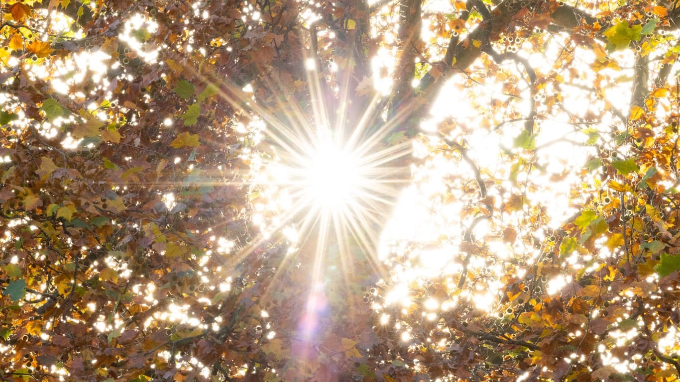 Spätsommer im Oktober