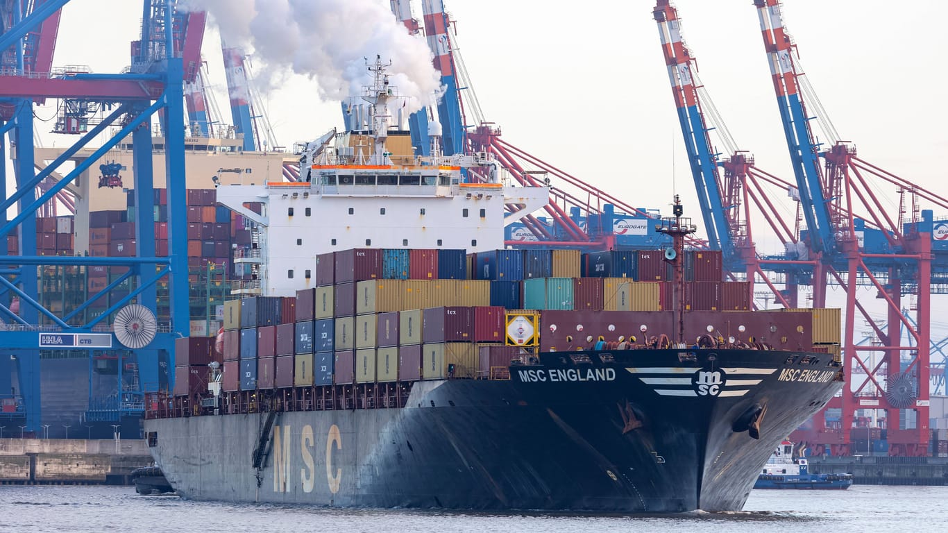 Ein Containerschiff der Reederei MSC im Hamburger Hafen (Archivbild): Der Konzern aus der Schweiz möchte sich im großen Stil am Hafenlogistiker HHLA beteiligen.
