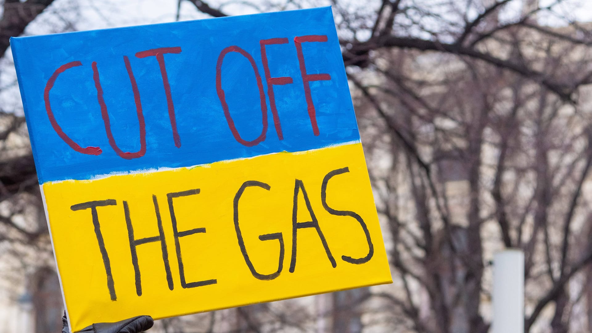 Protestschild bei Solidaritätsdemo für die Ukraine in Wien (Archivbild): Die Menge an importierten Gas aus Russland ist immer noch fast auf Vorkriegsniveau.