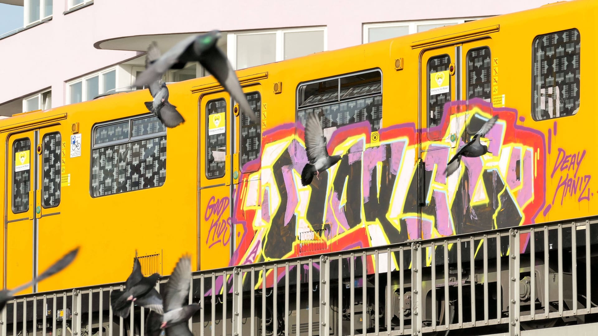 Besprühte U-Bahn in Berlin (Symbolfoto): Der 22-Jährige hatte 160 Spraydosen in der Wohnung. Besprühte U-Bahn in Berlin (Symbolfoto): Der 22-Jährige hatte 160 Spraydosen in der Wohnung.