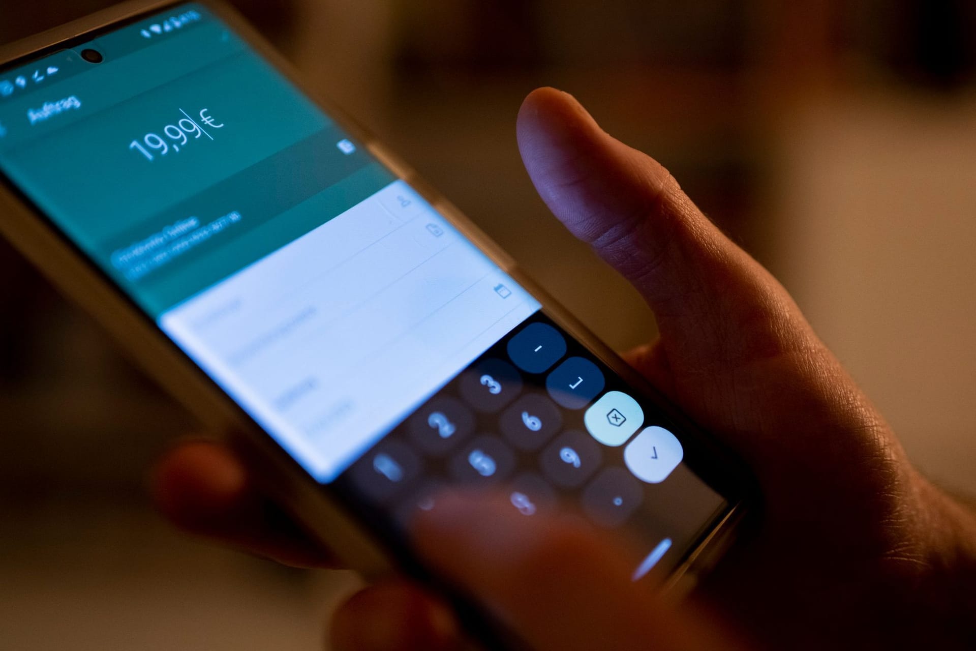 Online-Banking - Sofortüberweisungen in Euro