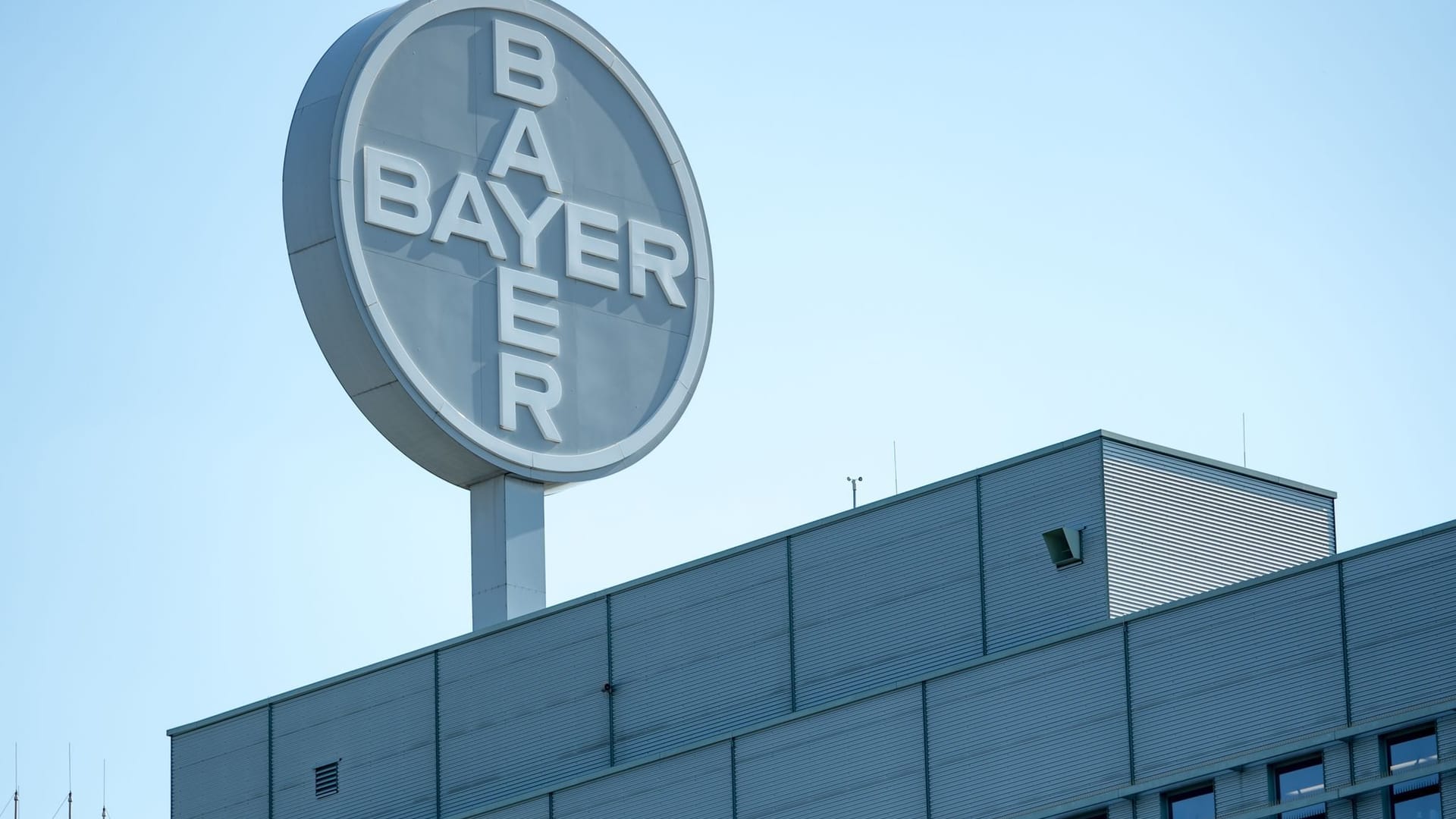Bayer-Logo Bayer-Logo