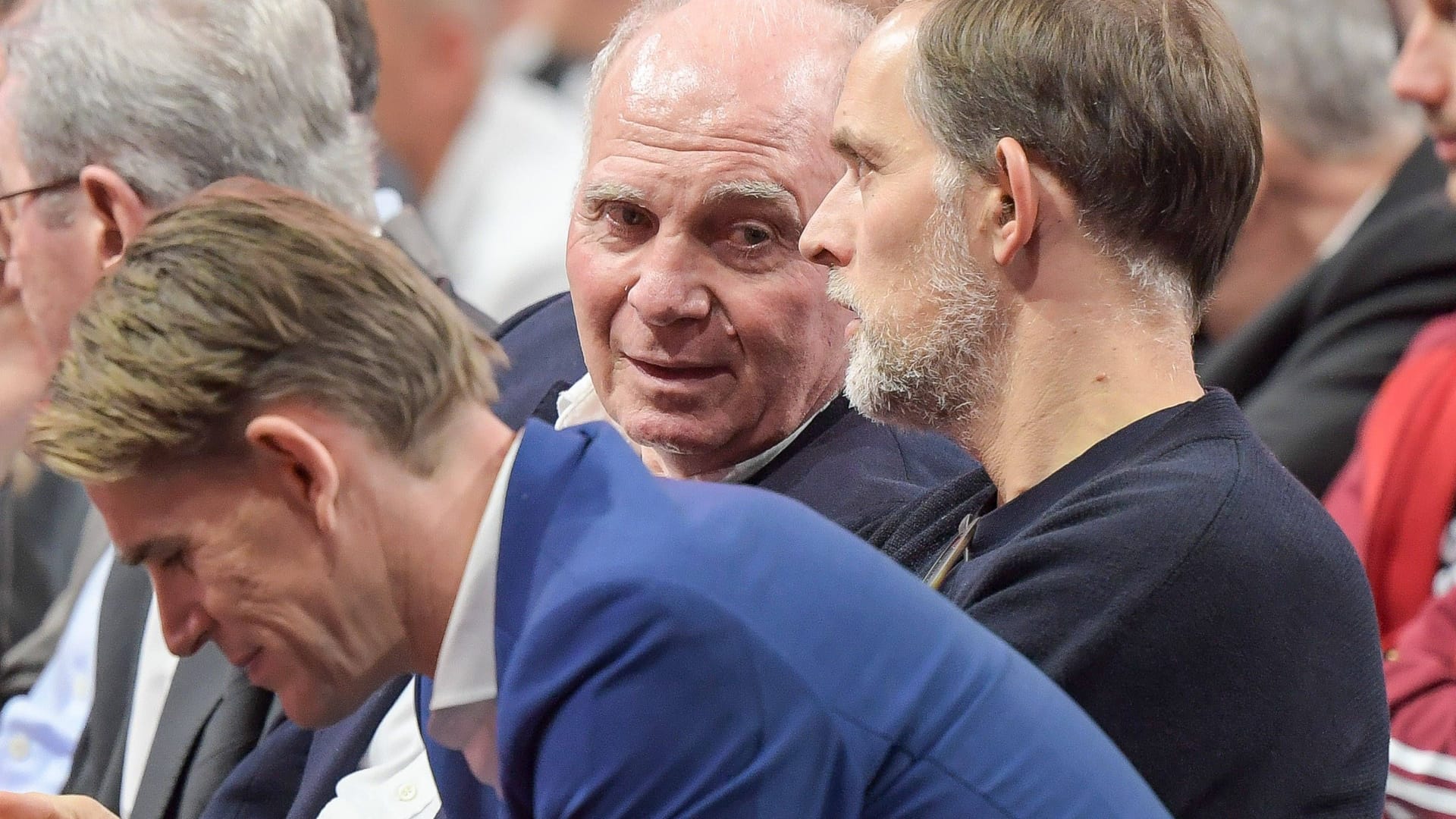 Sportdirektor Christoph Freund (v.): Er soll ein Treffen zwischen Uli Hoeneß (l.) und Thomas Tuchel organisiert haben.