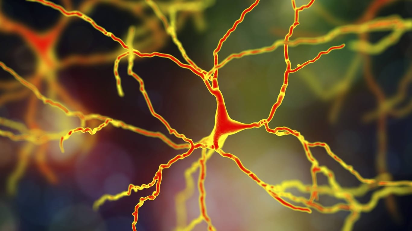 Computer-Illustration von Dopamin-Neuronen im menschlichen Nervensystem.