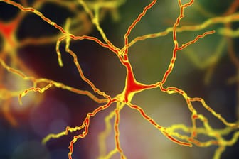 Computer-Illustration von Dopamin-Neuronen im menschlichen Nervensystem.