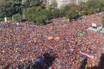 Großdemonstration in Madrid