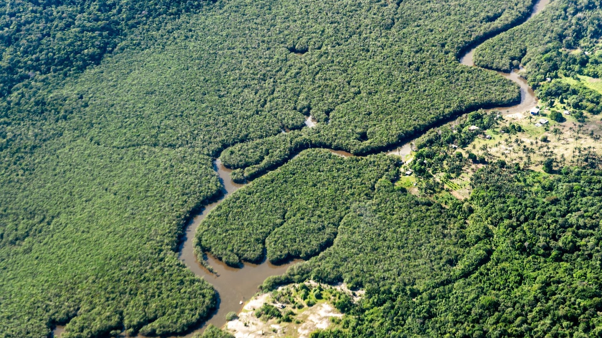 Rodung im brasilianischen Amazonasgebiet