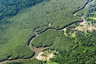 Rodung im brasilianischen Amazonasgebiet