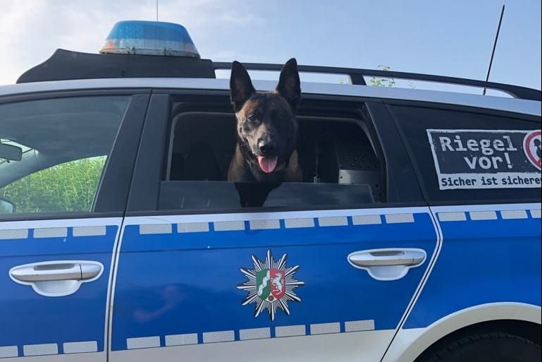 Jack im Einsatzfahrzeug: Der Vierbeiner hat seine Spürnase unter Beweis gestellt.