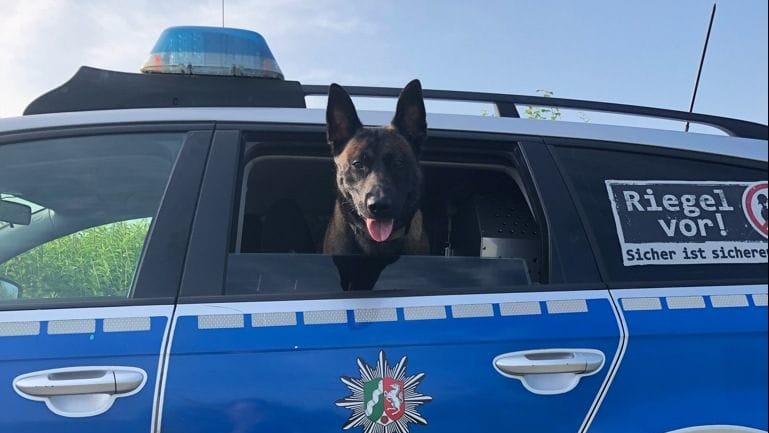 Jack im Einsatzfahrzeug: Der Vierbeiner hat seine Spürnase unter Beweis gestellt. Jack im Einsatzfahrzeug: Der Vierbeiner hat seine Spürnase unter Beweis gestellt.