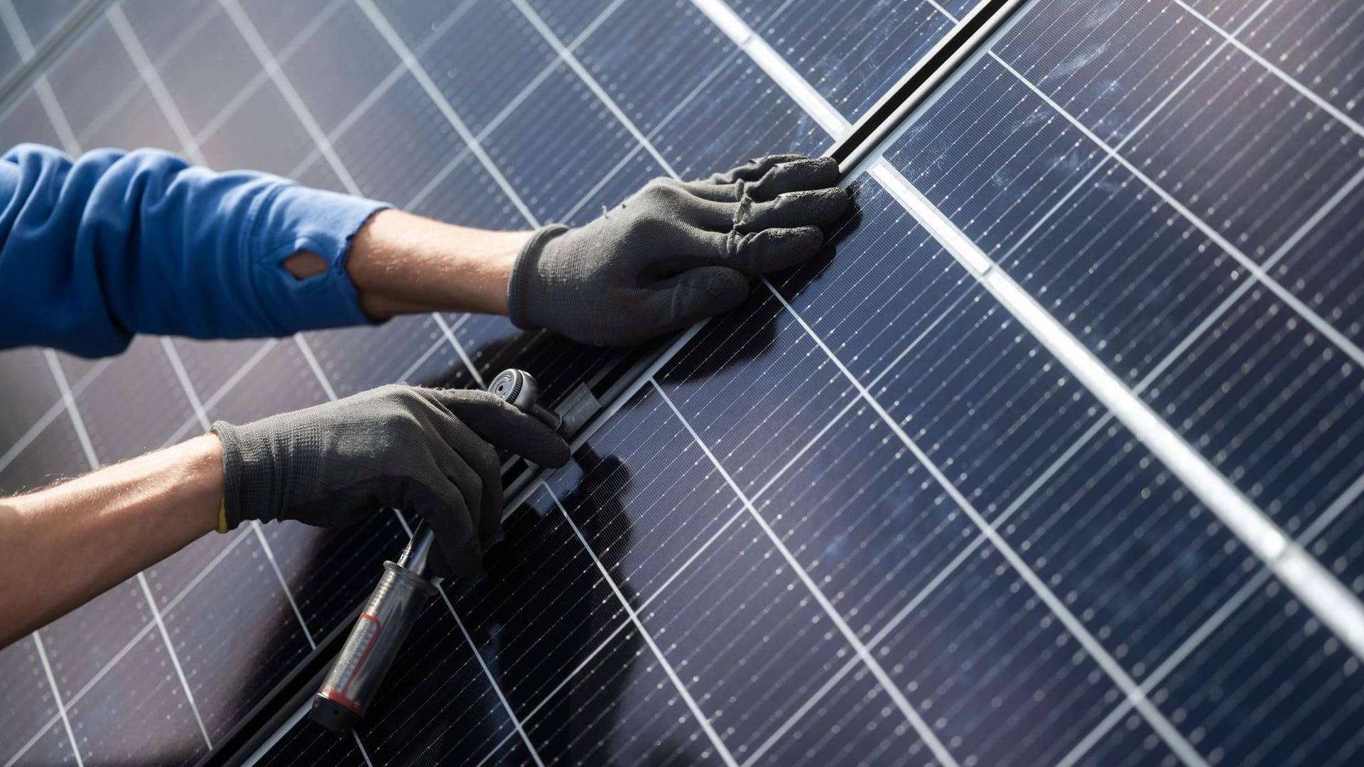 Solarbranche Solarbranche
