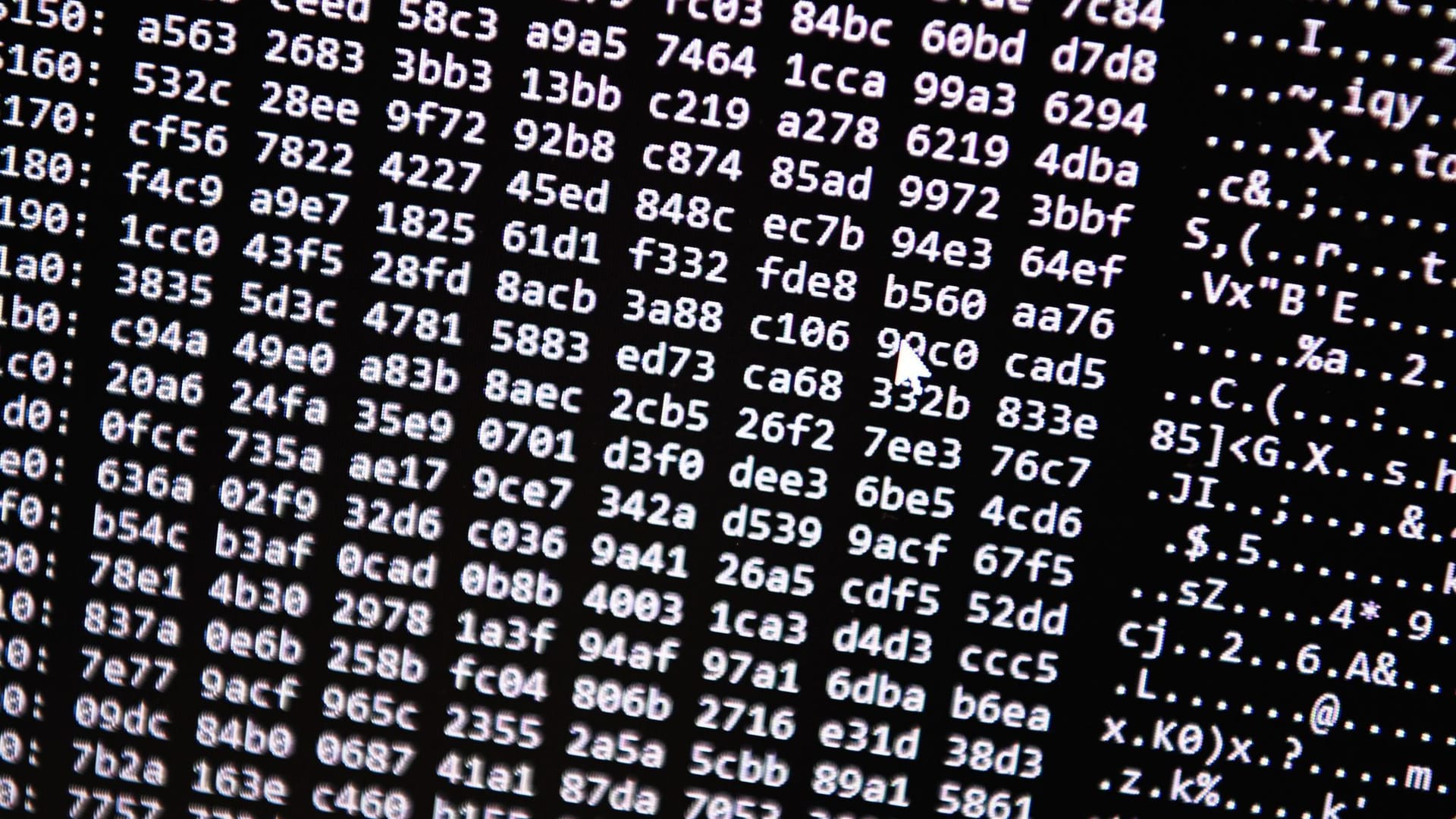 Darknet Darknet