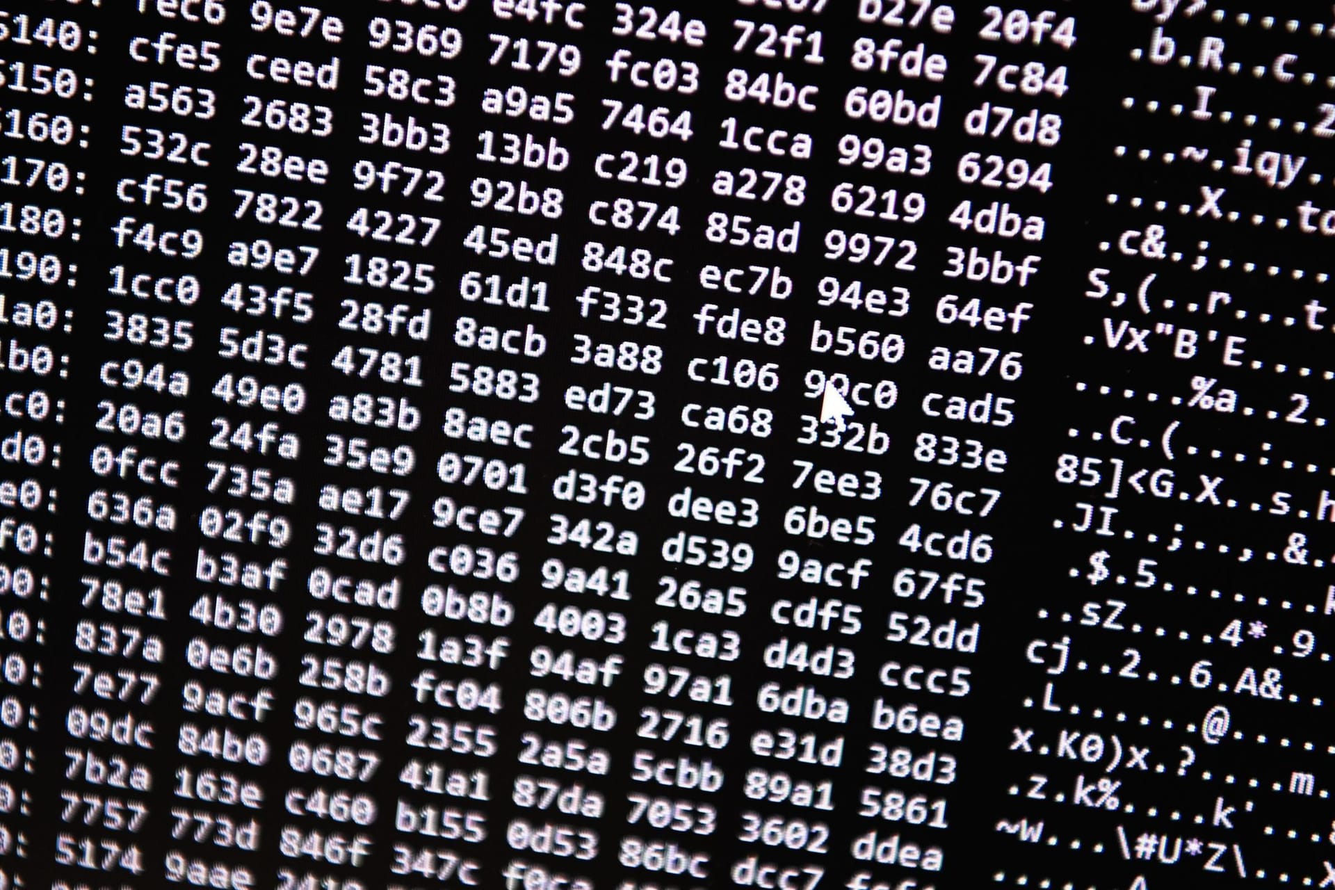 Darknet