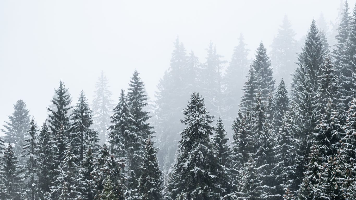 Etwas Schnee auf dem Feldberg – der Winter hat schon einmal Hallo gesagt.