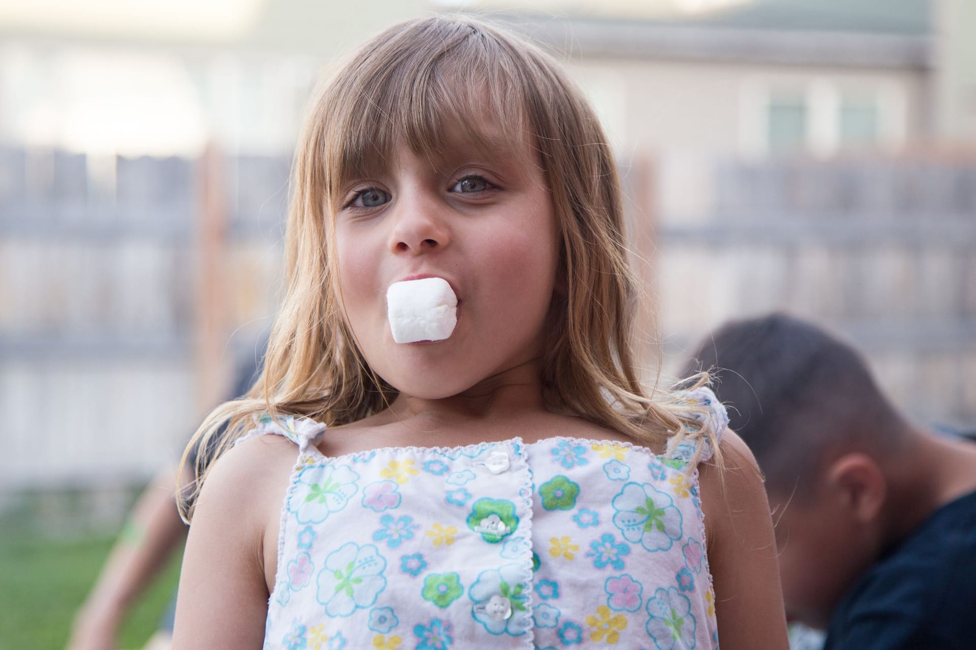 Ein fünfjähriges Mädchen isst einen Marshmallow. Ein fünfjähriges Mädchen isst einen Marshmallow.
