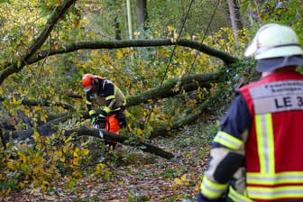 Feuerwehrleute beseitigen Sturmschäden (Symbolbild): Die schweren Unwetter in Europa mindern den Gewinn der Versicherung Allianz.