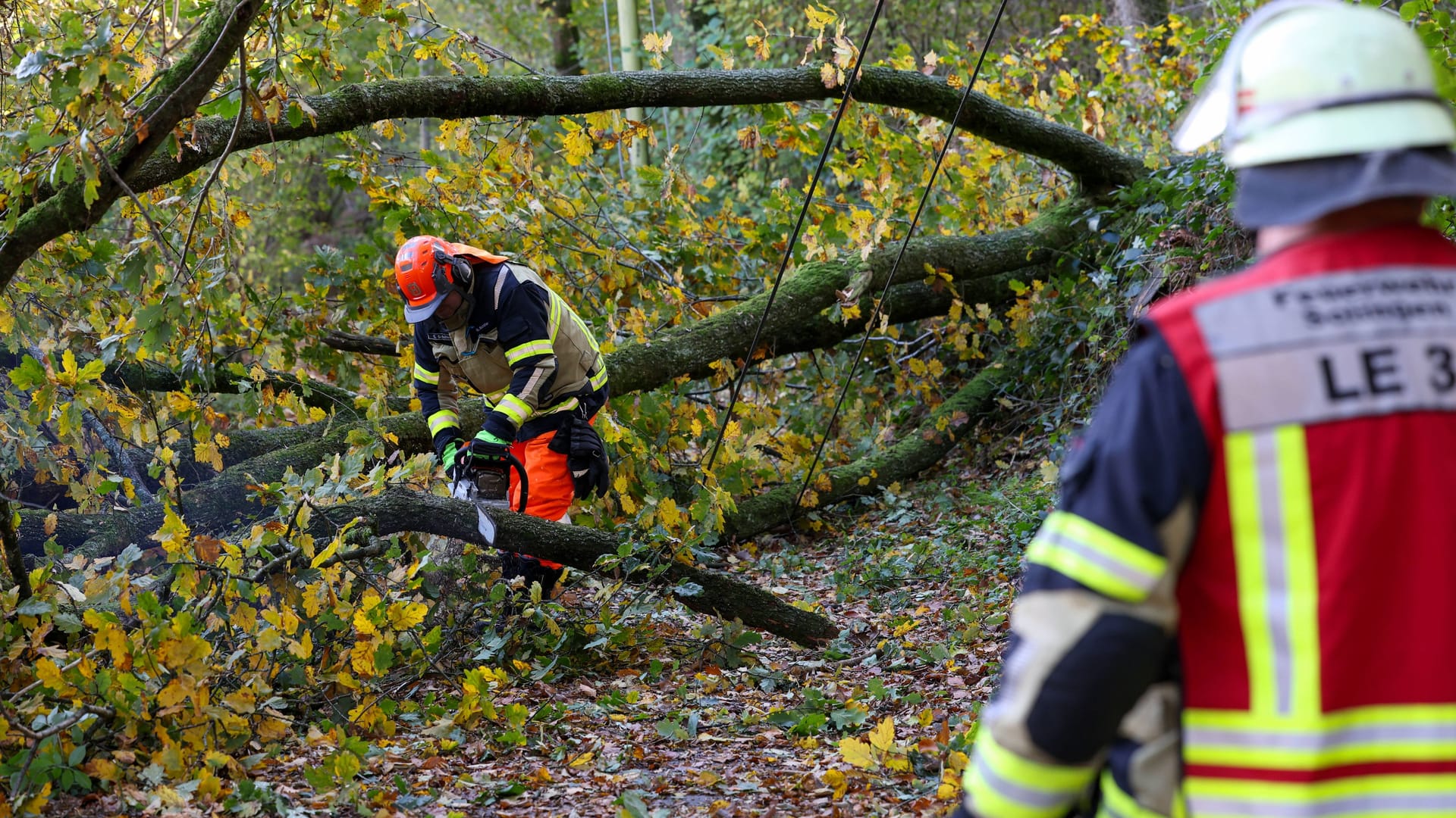 Feuerwehrleute beseitigen Sturmschäden (Symbolbild): Die schweren Unwetter in Europa mindern den Gewinn der Versicherung Allianz.