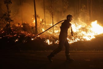 Feuerwehrmann beim Waldbrand (Symbolbild): 2023 wird höchstwahrscheinlich das heißeste Jahr seit Aufzeichnungen.