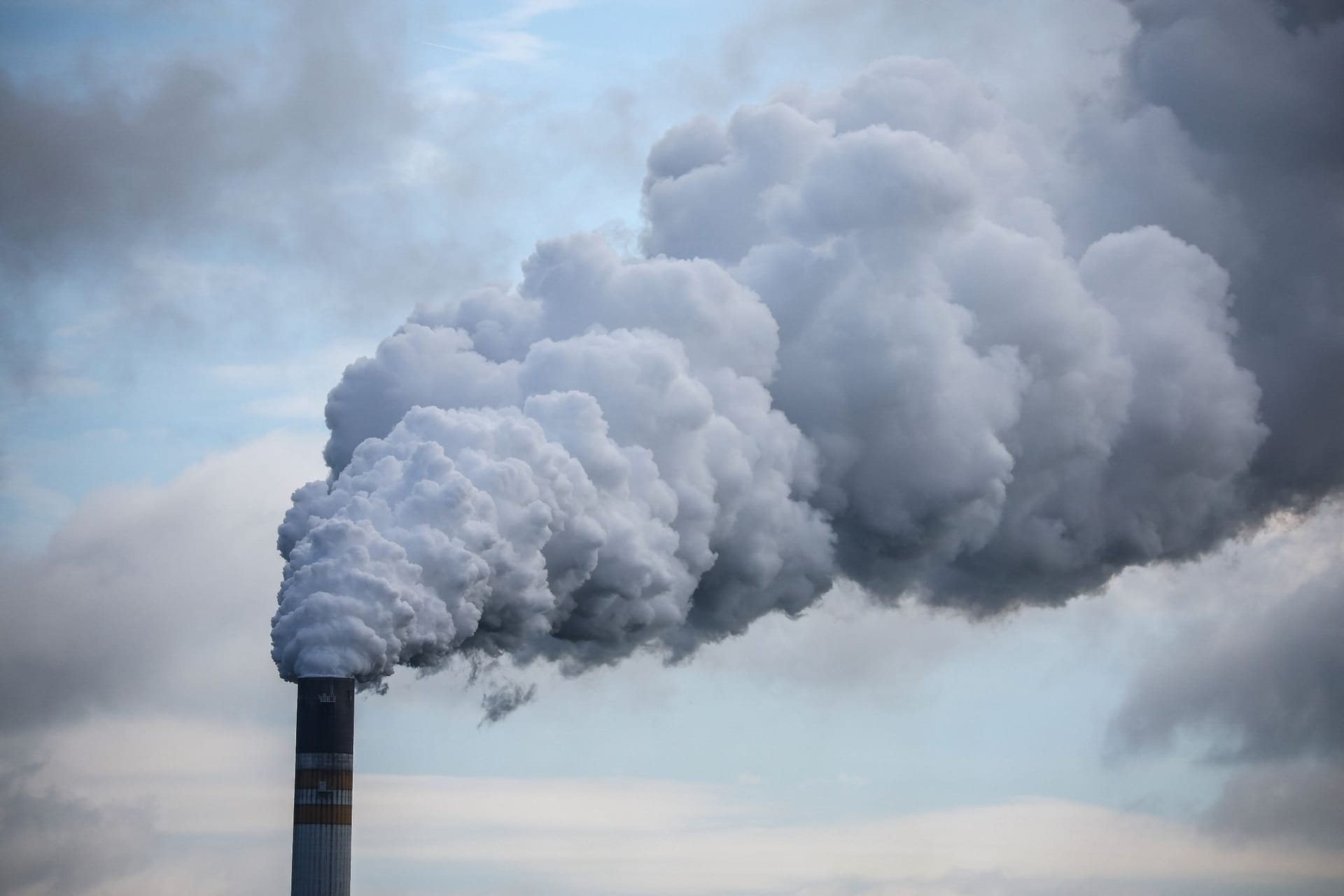 Geld verdienen mit CO2-Zertifikaten Geld verdienen mit CO2-Zertifikaten
